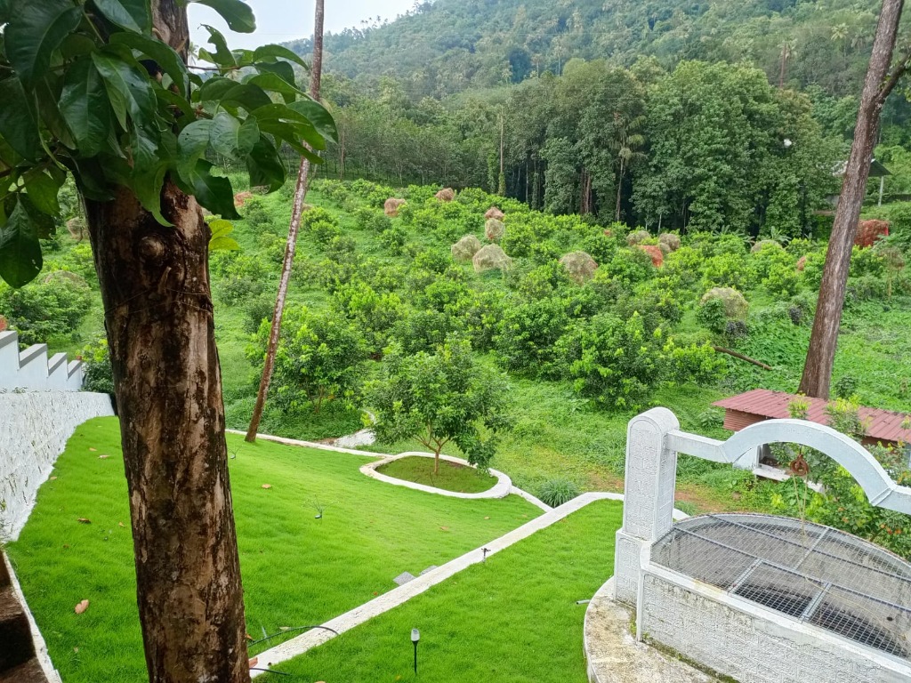 Lush green landscapes