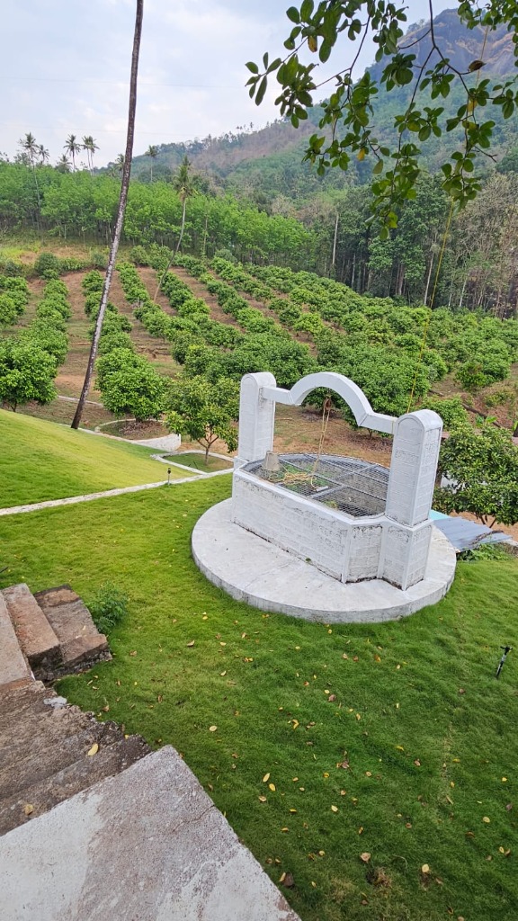 Lush hillside fruit orchard at Rock Pond Shore